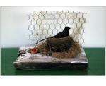 Wood, paint, bird,nest, glass, chicken wire. 10 in. x 13 in. x 2in. 1994.
