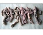 Plaster cast, with shrimp dyed muslin, 24 in. x 12 in., 1985.